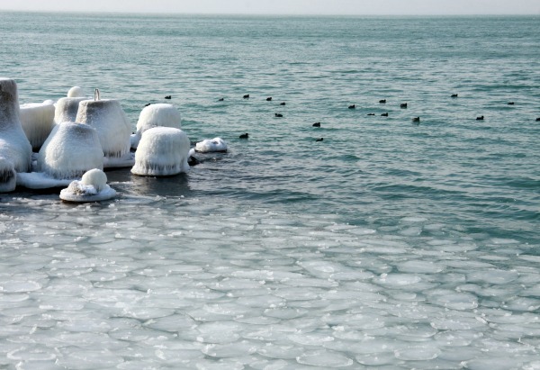 Черно море в лед (СНИМКИ)