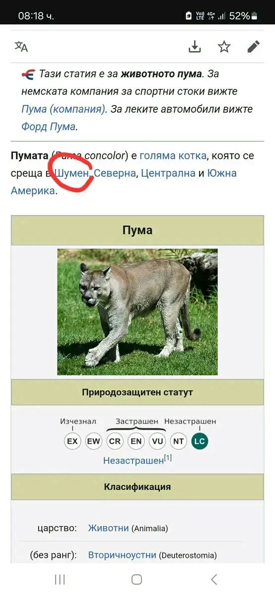 Черната пантера от Шумен въодушеви десетки колажи и мемета (СНИМКИ)