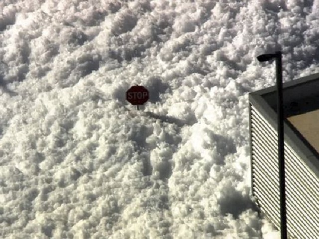 Противопожарна пяна погълна калифорнийски град (снимки видео)