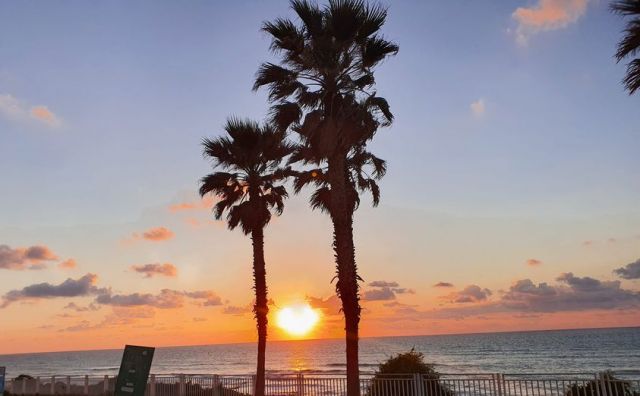 Давид Леви ексклузивно за ФАКТИ: На фона на предстоящите празници ни очакват още по-лоши новини | ФАКТИ.БГ Давид Леви ексклузивно за ФАКТИ: На фона на предстоящите празници ни очакват още по-лоши новини