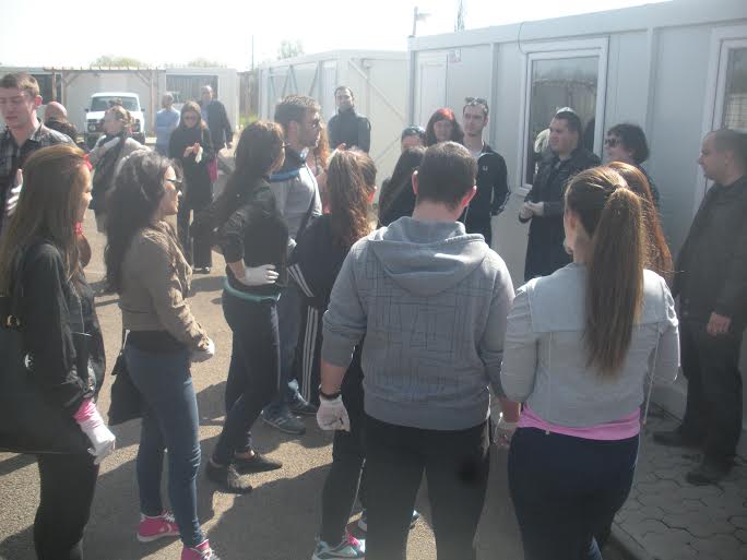 Драстичен спад на бездомните кучета в София