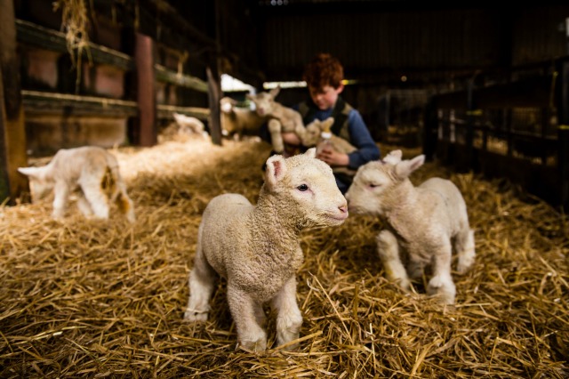 24 ноември: Светът в снимки