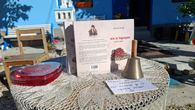 Стихотворение на Ваня Петкова изписаха на стената в читалището на с. Бяла Река