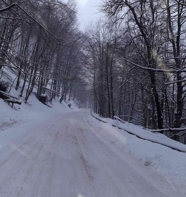 220 машини почистват пътищата в районите със снеговалеж