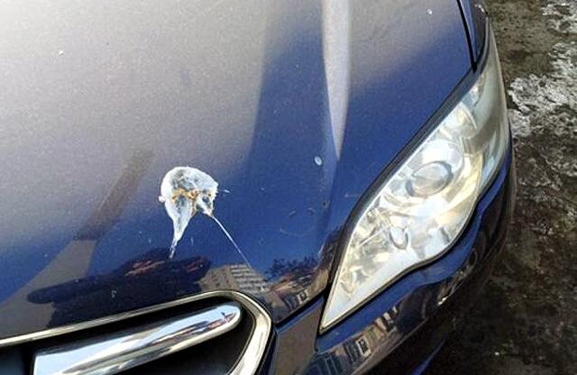  Защо курешките повреждат автомобилната багра? 