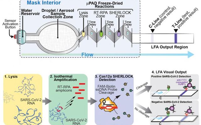  Защитната маска ще може да открие ковид във вдишания въздух 