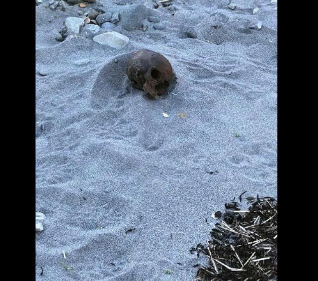 Жена намери мистериозен череп на плажа (СНИМКИ)