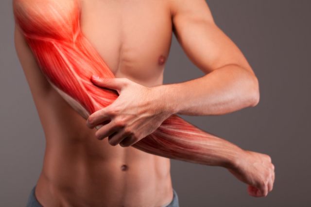  10 удивителни обстоятелството за мускулите, които може би не сте чували 