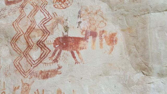  Откриха скални рисунки, показващи животни, изчезнали преди 12 000 години (СНИМКИ) 
