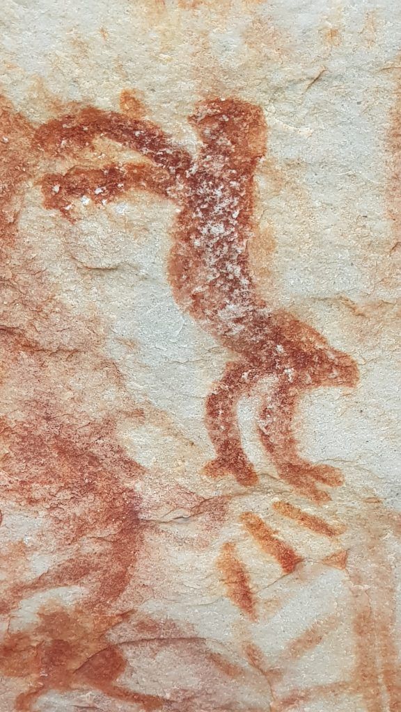  Откриха скални рисунки, показващи животни, изчезнали преди 12 000 години (СНИМКИ) 