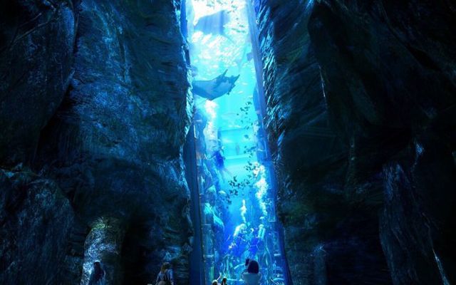 В ОАЕ изграждат най-големия аквариум в света