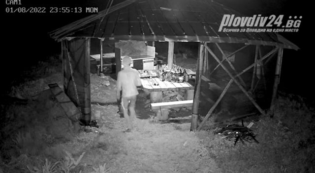 `Пловдивчанин