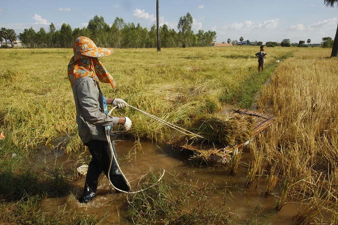 5 декември: Светът в снимки