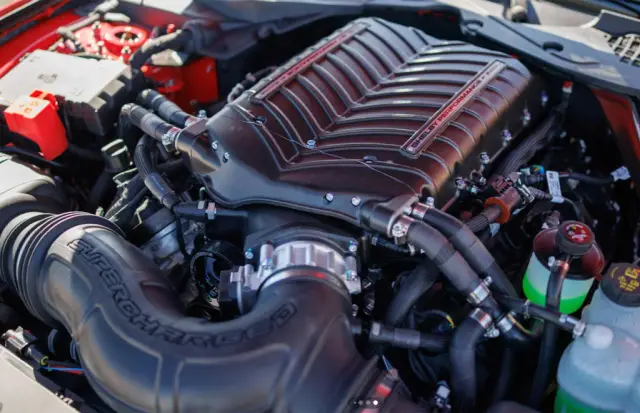 Shelby has released a powerful and much cheaper Mustang, which Ford does not have 