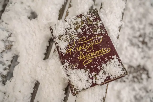 БНТ стартира фотосите на нов игрален филм - „ Коледни сътрудници “