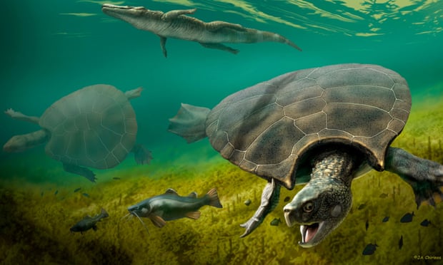 Откриха древна рогата костенурка с размерите на кола (ВИДЕО)