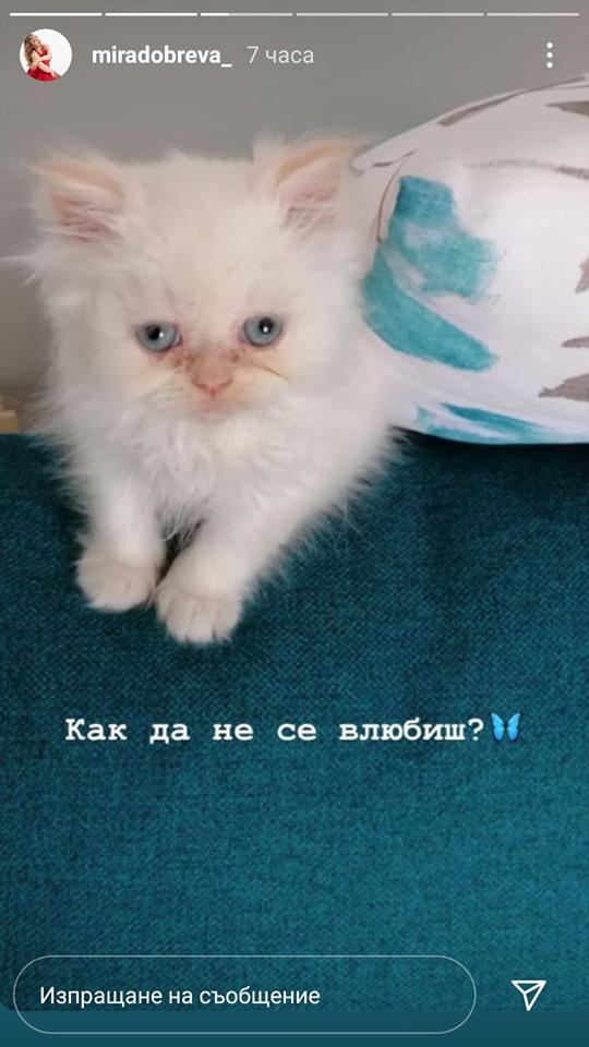  Мира Добрева сподели в кого е влюбена (СНИМКА) 