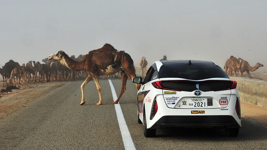 "Париж-Дакар" с... Prius