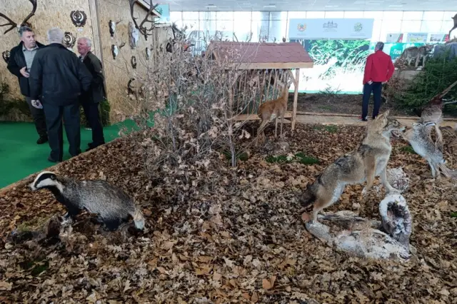 Ловният туризъм носи на България 12 милиона лв. годишно (ВИДЕО+СНИМКИ)