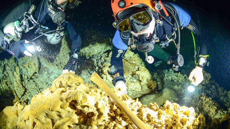 Череп с микрочип на 9 000 години е открит в подводна пещера