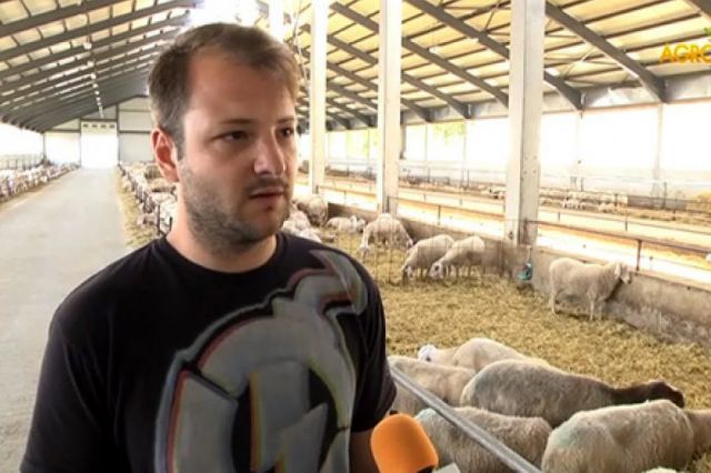 Новият собственик на ЦСКА отглеждал над 2000 овце от израелска порода
