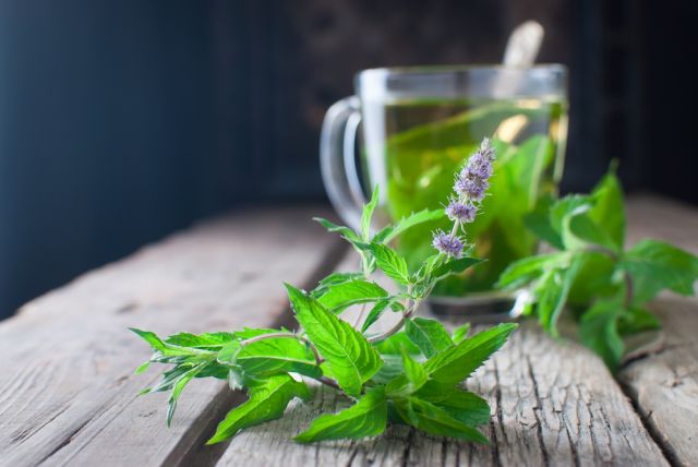 Защо да пием чай от мента всеки ден | ФАКТИ.БГ Защо да пием чай от мента всеки ден