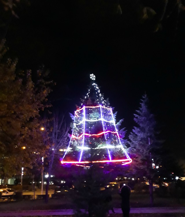 Коледна елха грейна в Пловдив