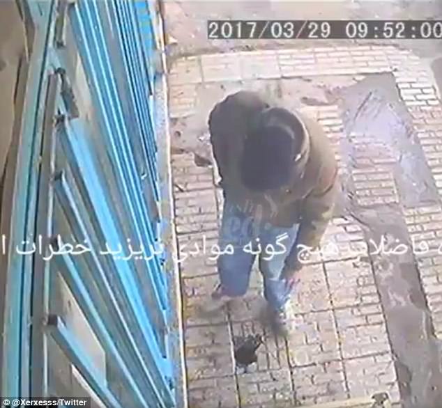 Ето ви причина да откажете цигарите! (ВИДЕО)