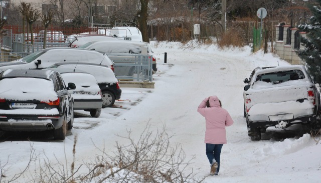 8 януари: България в снимки