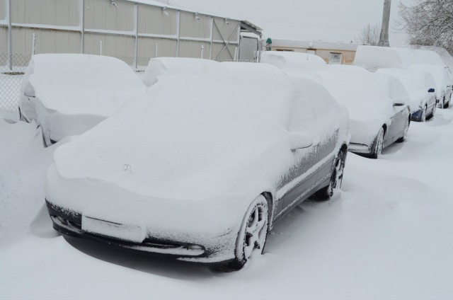8 януари: България в снимки