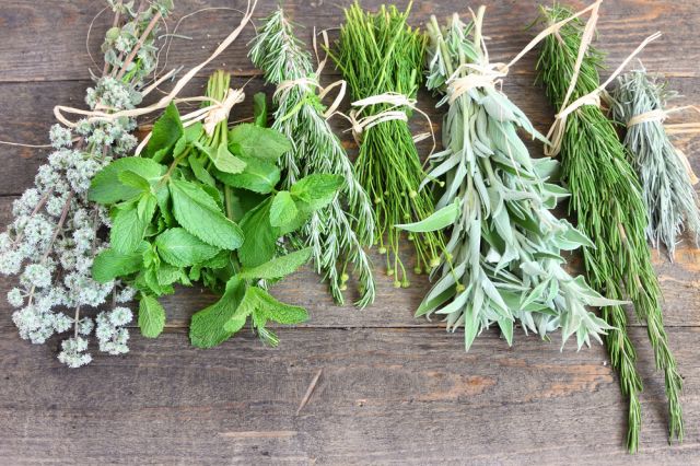  Как се сушат и замразяват подправки и билки 