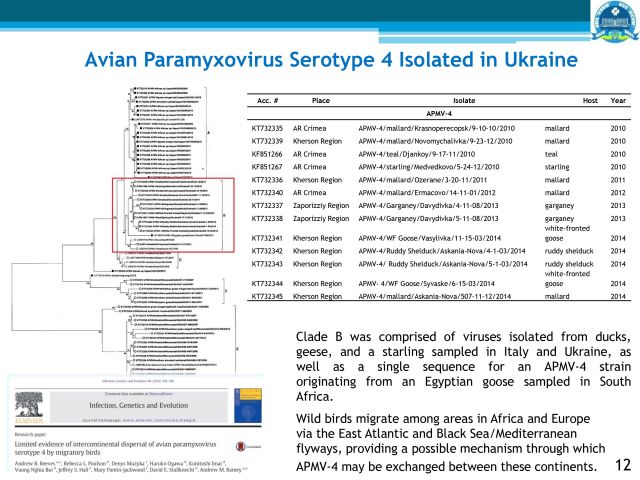 Нюкасълската болест в Украйна