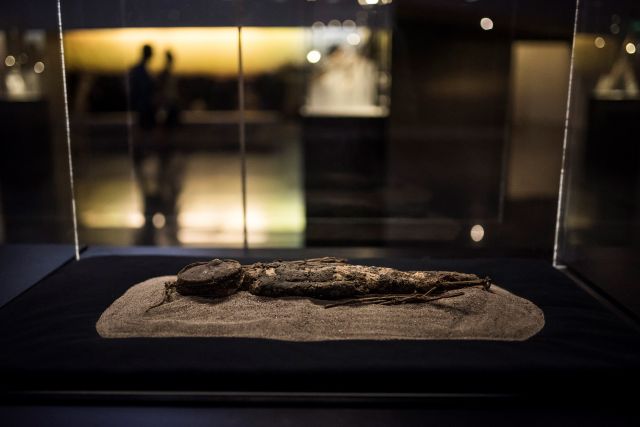 Най-старите мумии в света влизат в световното наследство на ЮНЕСКО (СНИМКИ)