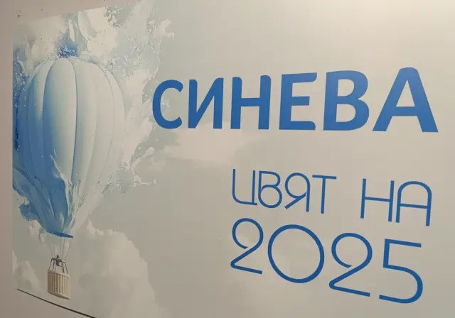 Цветът на 2025 година в интериорния дизайн (ВИДЕО)