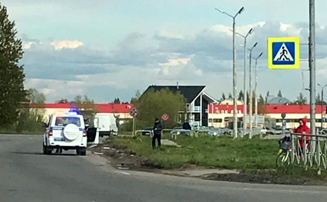 Цяла Русия настръхна срещу шофьор, прегазил патета (ВИДЕО)