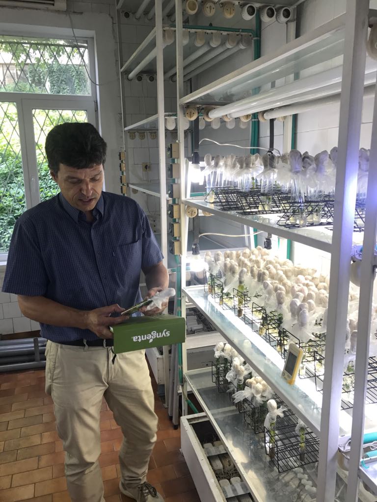 1900 сорта лозя пазят в Плевен