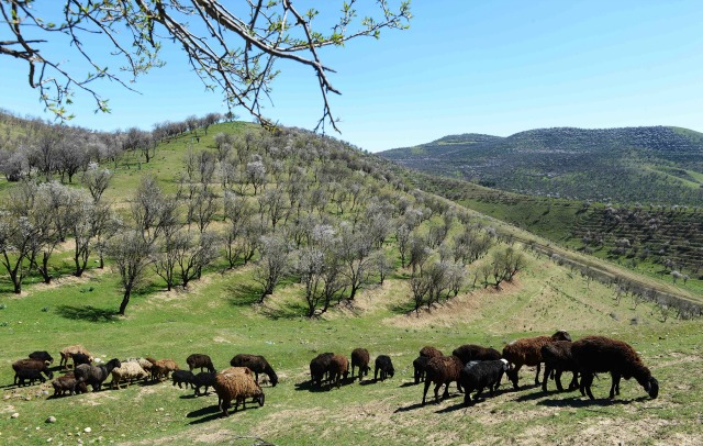 10 април: Светът в снимки