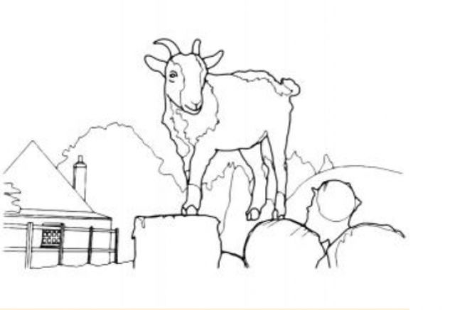 Как да нарисувате коза