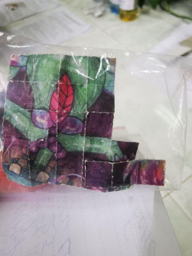  Откриха дрога, замаскирана като пъзел в Пловдив (СНИМКИ) 