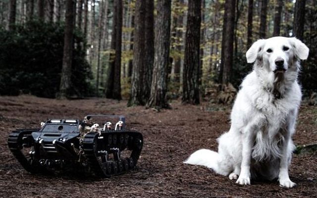 `Първият `Първият