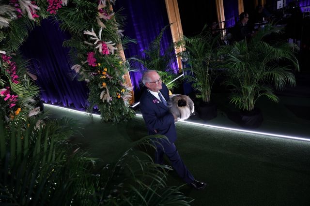  Това куче завоюва огромната премия на Уестминстърското киноложко ревю 