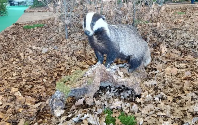 Ловният туризъм носи на България 12 милиона лв. годишно (ВИДЕО+СНИМКИ)