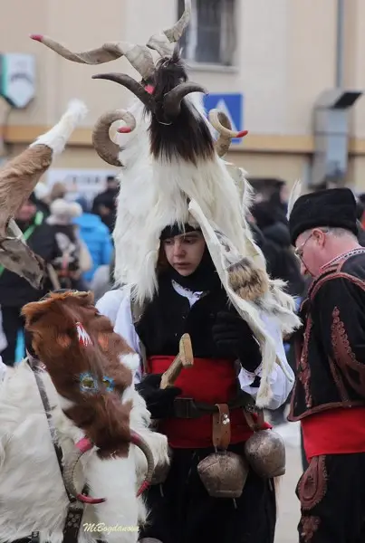 Над 13 000 участници в тазгодишното издание на „Сурва 2026“ (ВИДЕО+СНИМКИ)