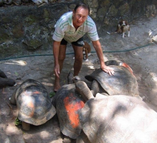 A man bought an island for $ 13,000 and turned it into a paradise (VIDEO)