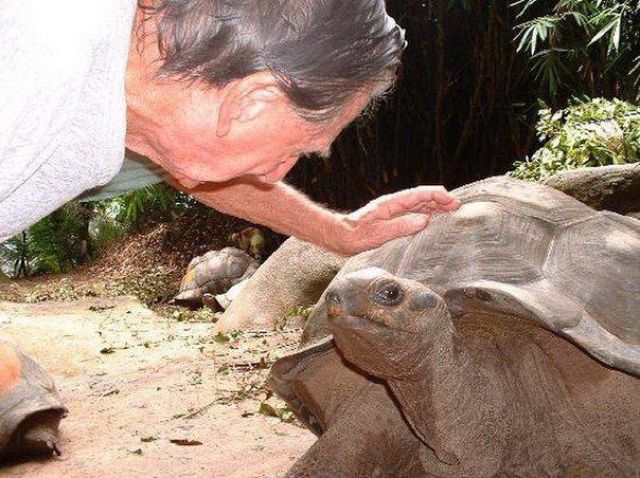 A man bought an island for $ 13,000 and turned it into a paradise (VIDEO)