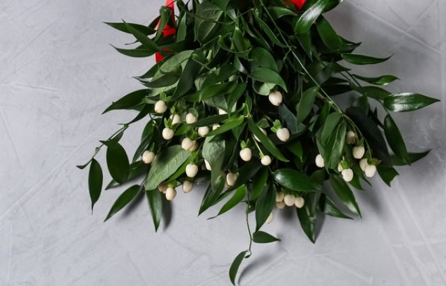  Рецепта с ракия държи холестерола в норма 