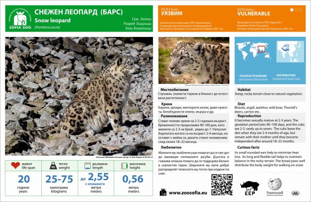 Снежен леопард заживя в Софийския зоопарк