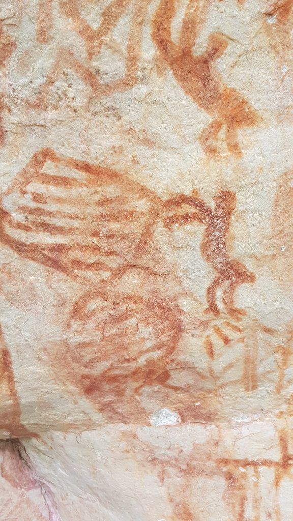  Откриха скални рисунки, показващи животни, изчезнали преди 12 000 години (СНИМКИ) 