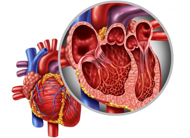 Разгадаха 500-годишна загадка на Да Винчи