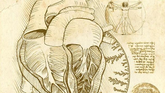 Разгадаха 500-годишна загадка на Да Винчи